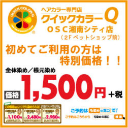 クイックカラーq Osc湘南シティ